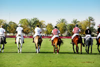 Desert Palm Dubai Cartier Polo Challenge - Buchungskontakt art of travel, München