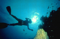 Ägypten - Urlaub unter der Sonne Afrikas. Foto: Ägyptisches Fremdenverkehrsamt