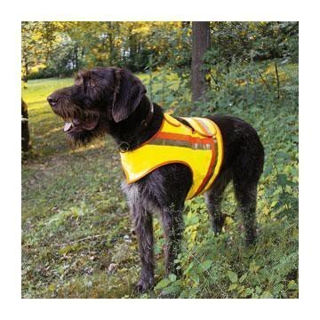 Reflektorweste für Hunde (AKAH) (Bildquelle: (AKAH)) Reflektorweste für Hunde (AKAH) (Bildquelle: (AKAH))