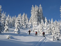 Schneeschuhwandern
