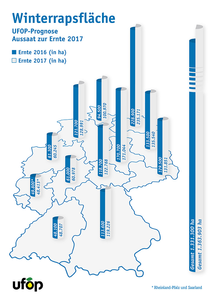 Winterrapsanbaufläche zur Ernte 2017