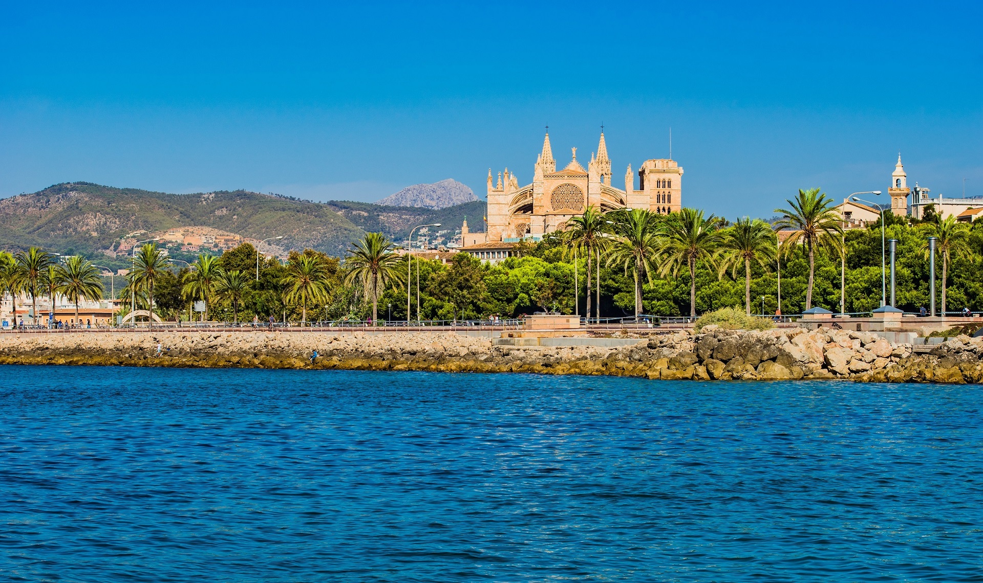 Die Kathedrale?La Seu?in Palma de Mallorca (Bildquelle: vulcanus, Fotolia)