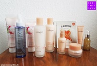 Das 10-Step Korean Skincare Routine Set (Bildnachweis: www.seemyskin.de) Das 10-Step Korean Skincare Routine Set (Bildnachweis: www.seemyskin.de)