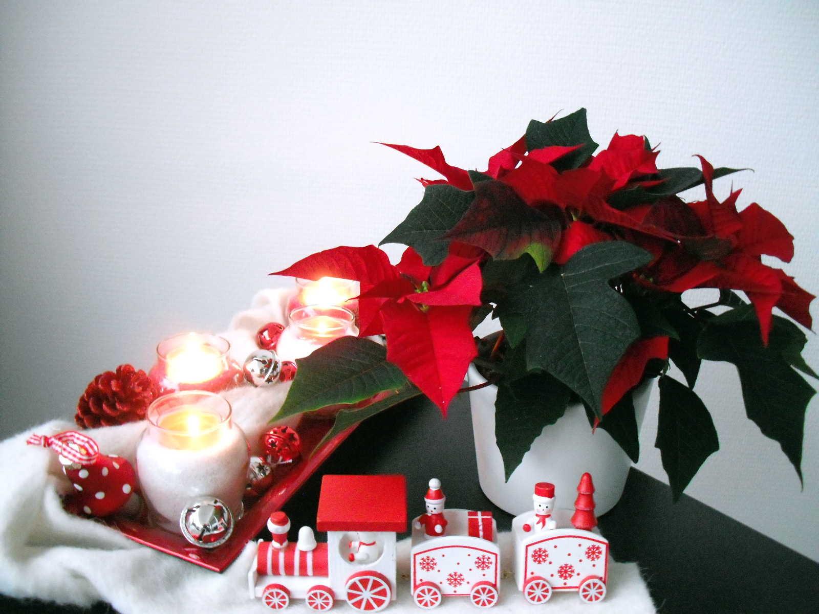 Weihnachtsdekoration und Weihnachtsstern Weihnachtsdekoration und Weihnachtsstern