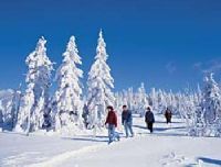 Ein Winterurlaub für alle Wünsche