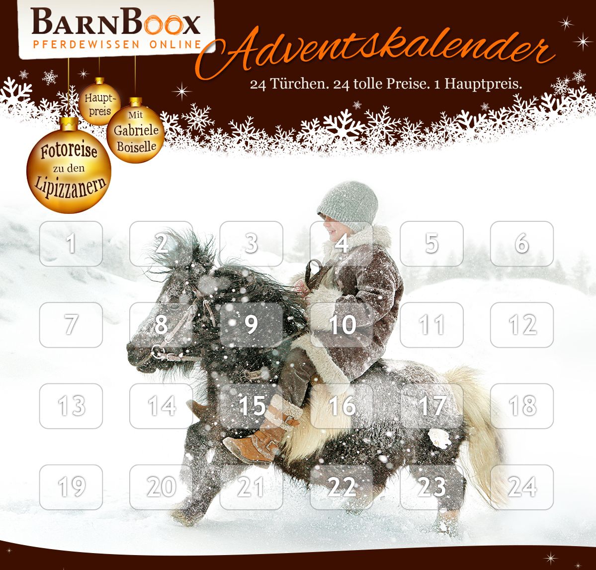 24 hochwertige Gewinne für Pferd und Reiter verkürzen das Warten auf das Christkind.
