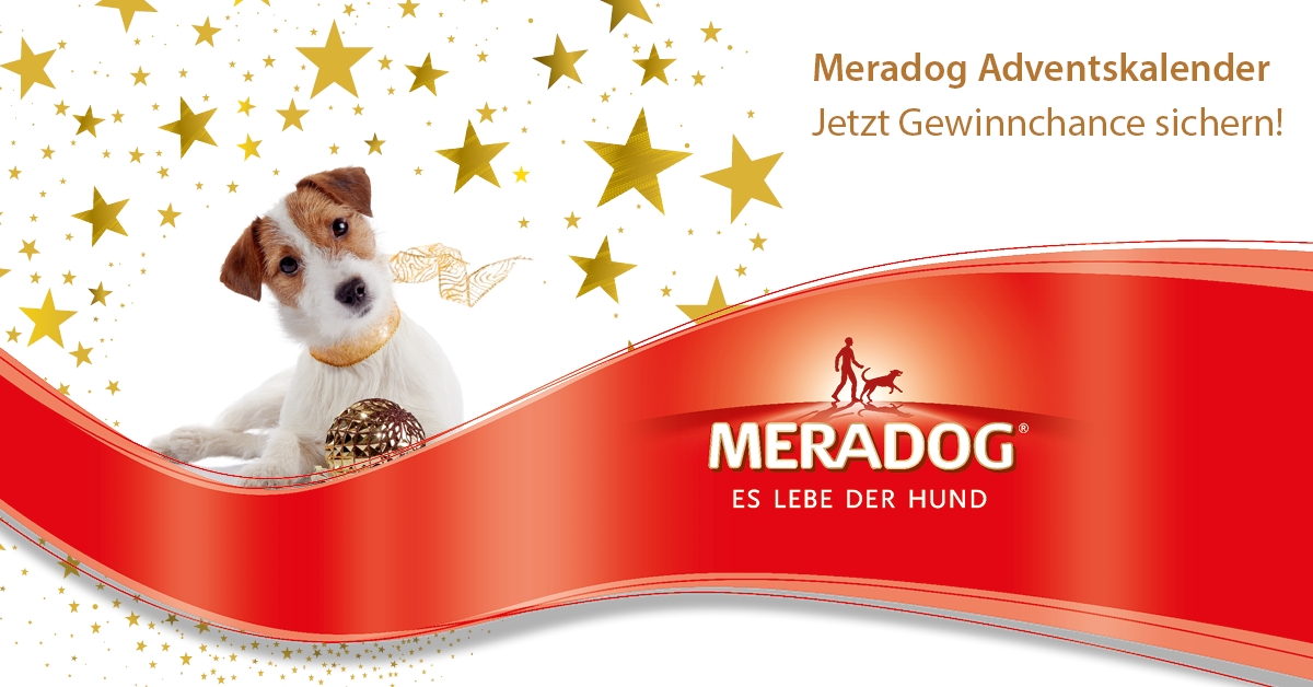 Viel Glück beim vergnüglichen Entspannen mit dem Online-Adventskalender für Hundefans Viel Glück beim vergnüglichen Entspannen mit dem Online-Adventskalender für Hundefans
