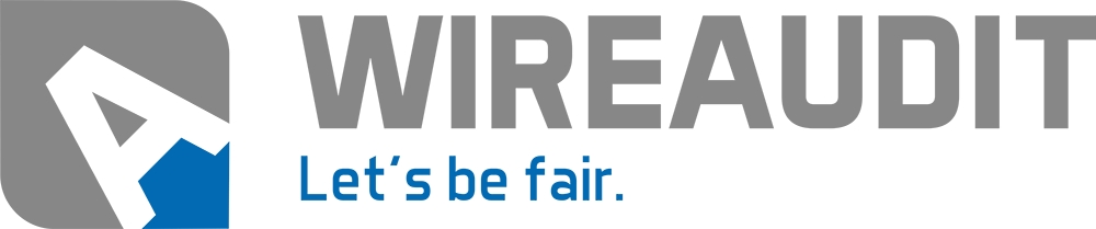 Logo wireaudit.com