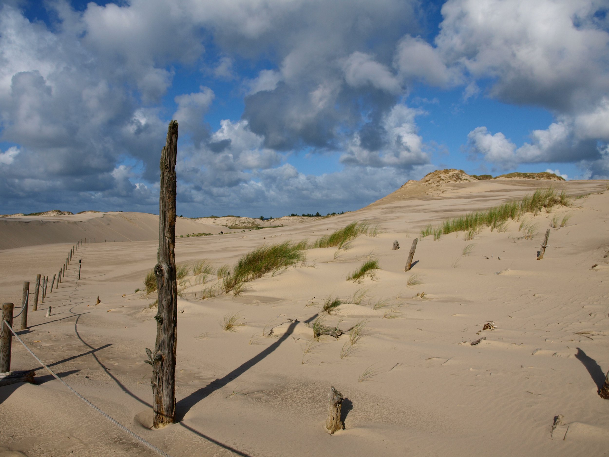 Schnieder Reisen:Erstmals Polen-Wanderreisen im Programm.Die Wanderdünen bei Leba werden erkundet. Schnieder Reisen:Erstmals Polen-Wanderreisen im Programm.Die Wanderdünen bei Leba werden erkundet.