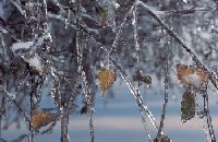 Winterlandschaft in Bayern Winterlandschaft in Bayern
