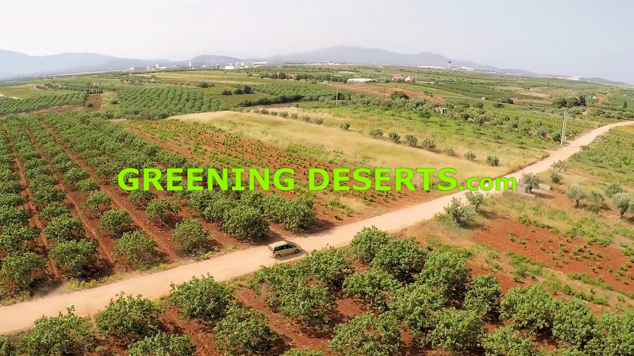 Greening Deserts Wallpaper