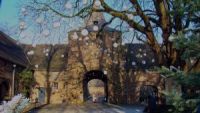Schlossportal Winterland Arcen