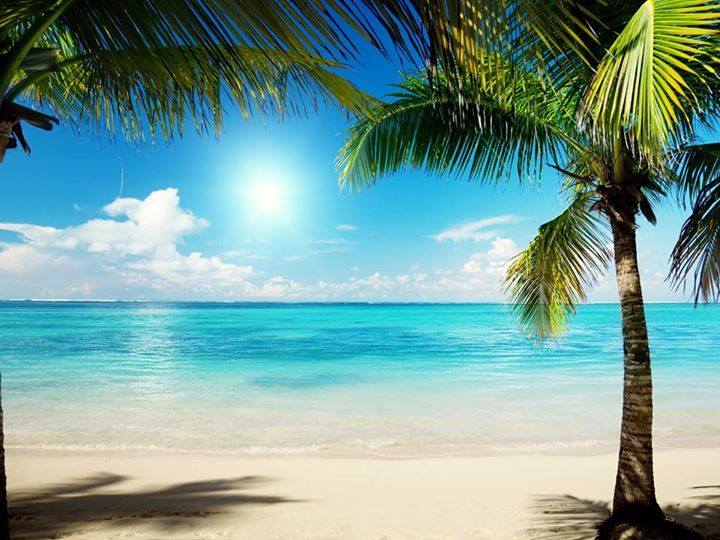 Traumstrände der Dominikanische Republik (Bildquelle:©Seavisbayahibe.com) Traumstrände der Dominikanische Republik (Bildquelle:©Seavisbayahibe.com)