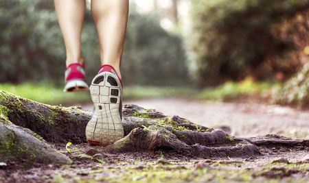 Die beszen Laufschuhe im Test