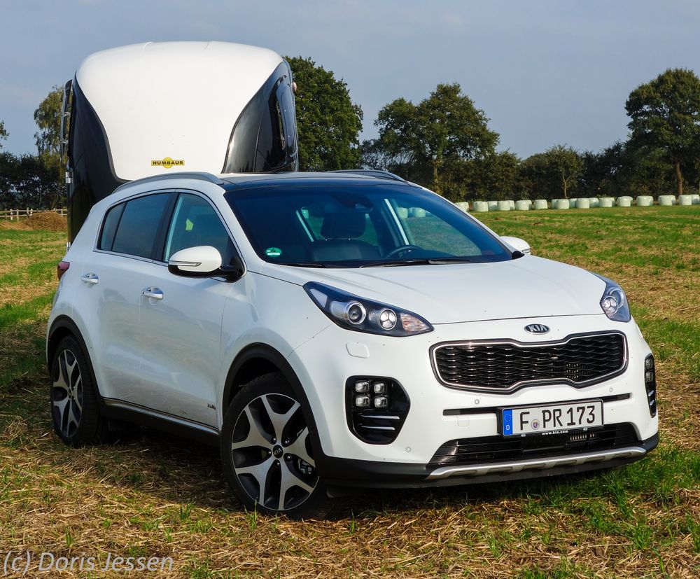 Pferdeanhänger-Zugfahrzeugtest KIA Sportage: Einsteigen und losfahren Pferdeanhänger-Zugfahrzeugtest KIA Sportage: Einsteigen und losfahren