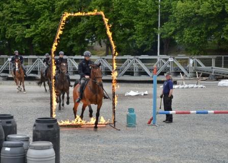 Keine Angst vor Feuer - Pferdetraining auf der Pyros (Bildquelle: Messe Brünn BVV)