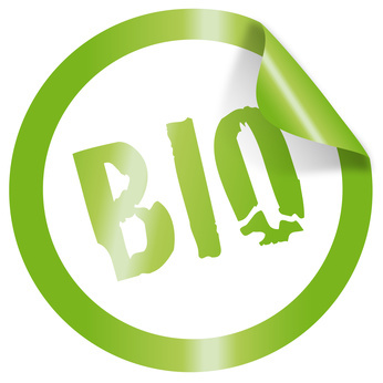 Bio Einwegverpackungen bei Pack4Food24.de Bio Einwegverpackungen bei Pack4Food24.de