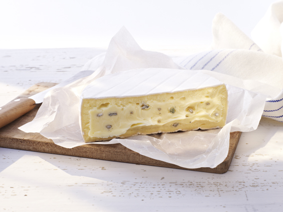 Ein leckerer Weichkäse eignet sich nicht zum Einfrieren. (Bildquelle: Bergader Privatkäserei) Ein leckerer Weichkäse eignet sich nicht zum Einfrieren. (Bildquelle: Bergader Privatkäserei)