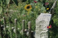 EIn buntes Jahr für den Gartenbauverein EIn buntes Jahr für den Gartenbauverein