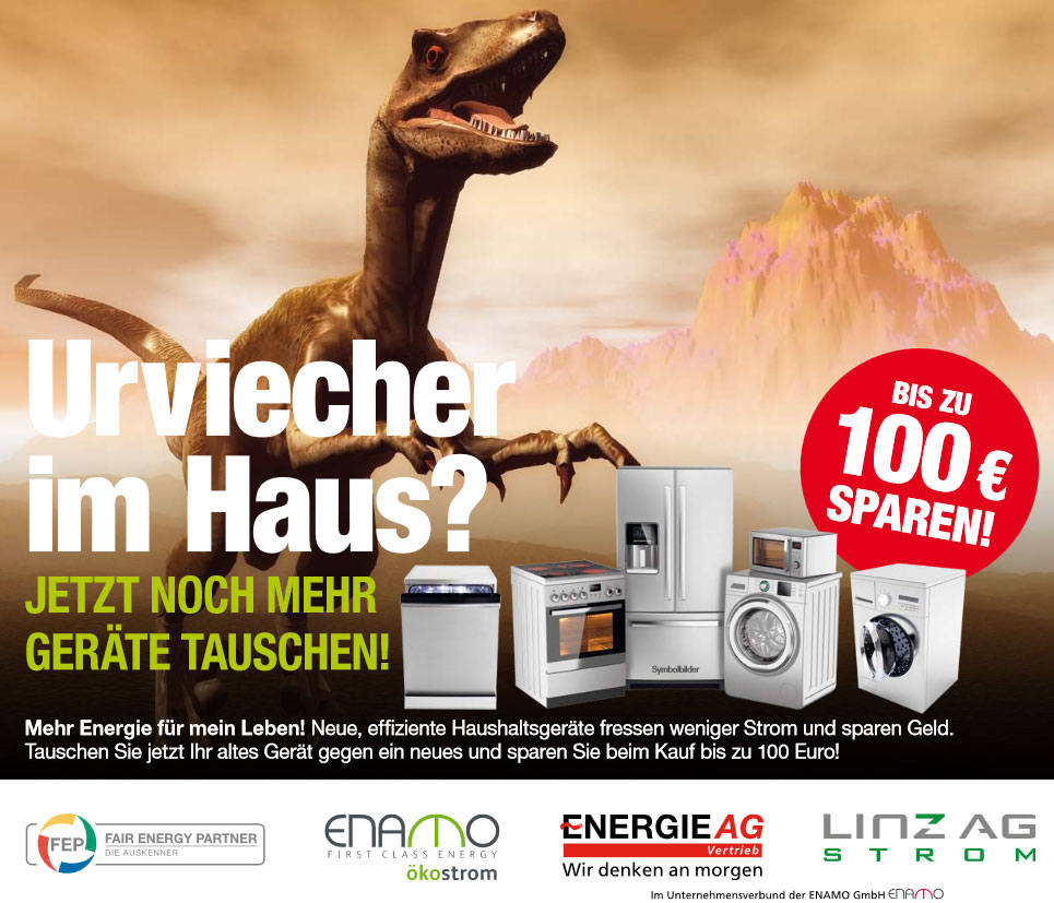 Fair Energy Partner
