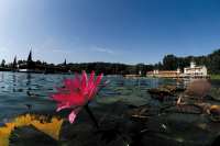 Hevizer See