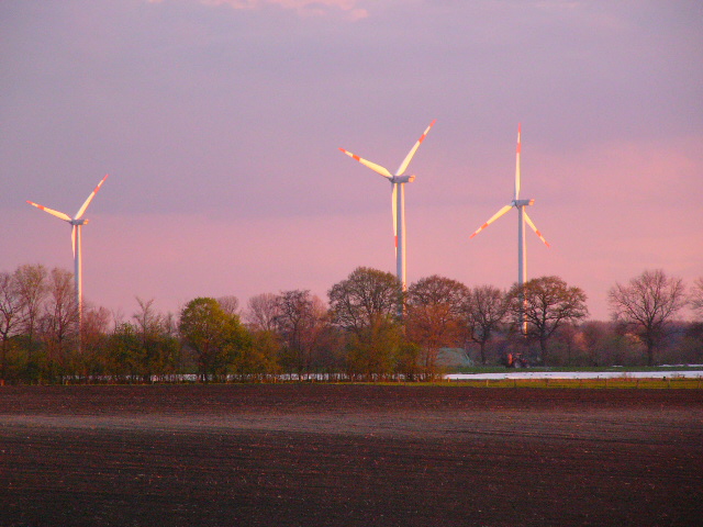 Landwirtschaftliche Immobilie Landwirtschaftliche Immobilie