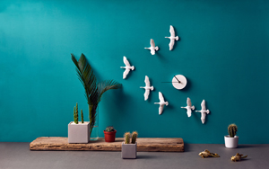 Fresh Taiwan: Migrantbird X Clock von haoshi 