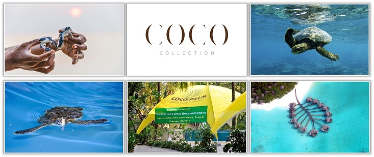 Coco Collection Coco Collection