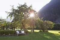 Abendstimmung im Garten