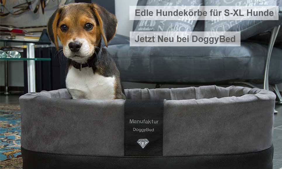 Hundekorb Paddy Style Hundekorb Paddy Style
