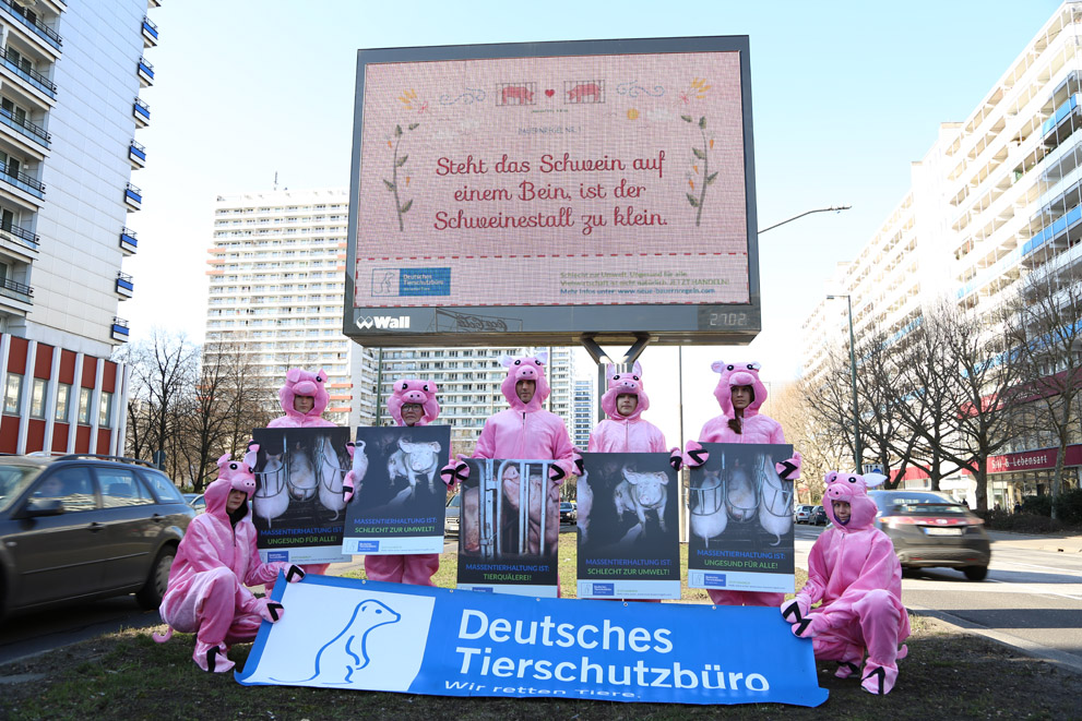 Das Deutsche Tierschutzbüro bringt die Das Deutsche Tierschutzbüro bringt die