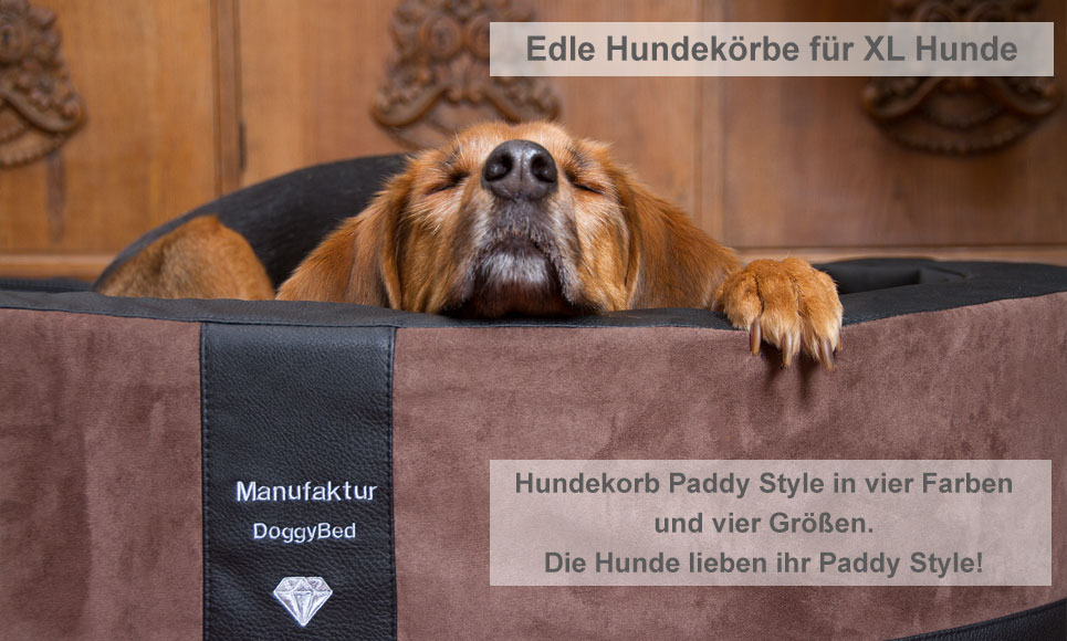 Edler Hundekorb Paddy Style
