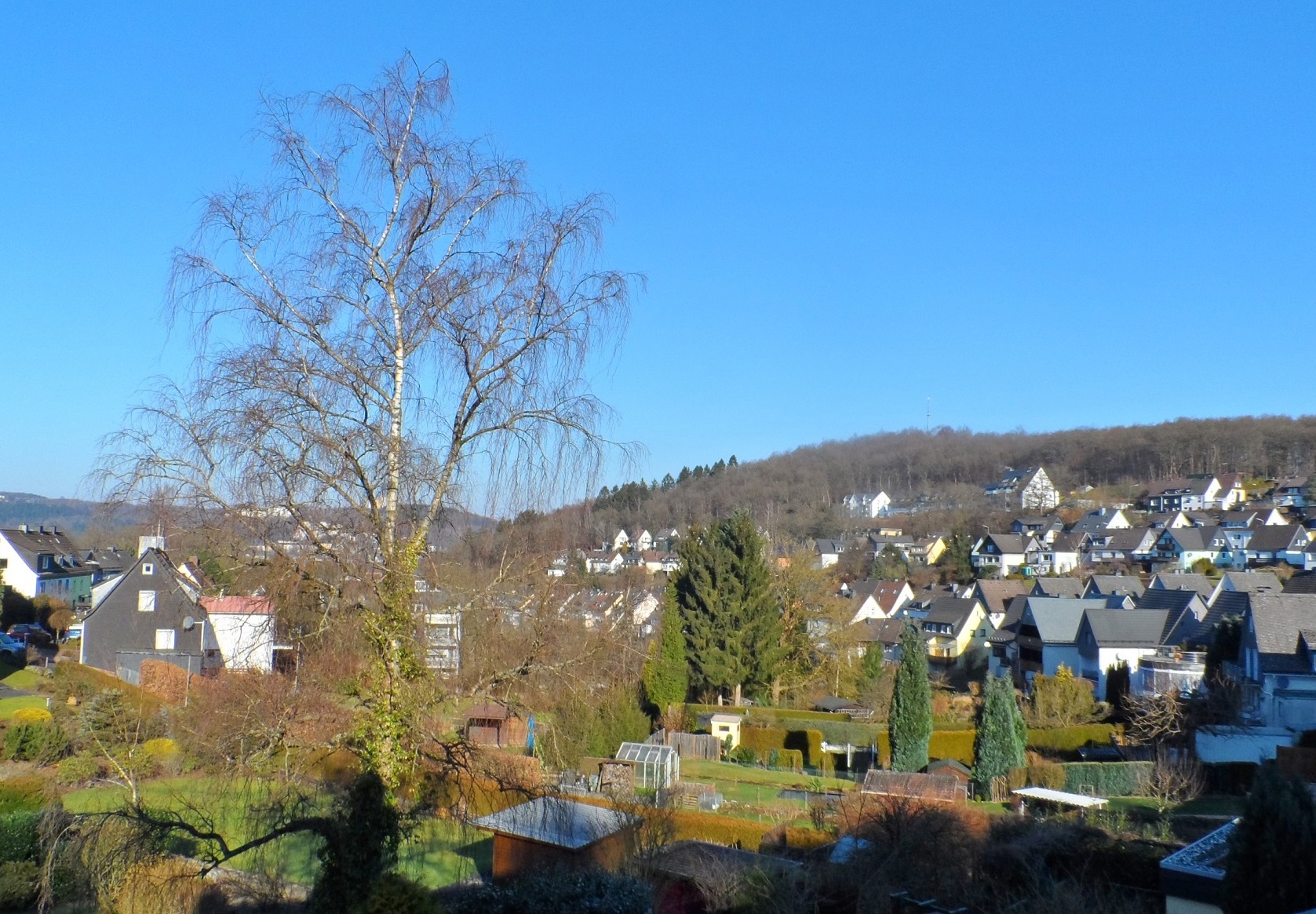 Februar-Sonne in Siegen, der Wald ist nah. (Foto: presseweller)