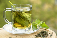 Naturprodukte, wie der Brennnesseltee, ersetzen Energiedrinks & Co Naturprodukte, wie der Brennnesseltee, ersetzen Energiedrinks & Co