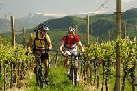 Mountainbike-Tour Mountainbike-Tour