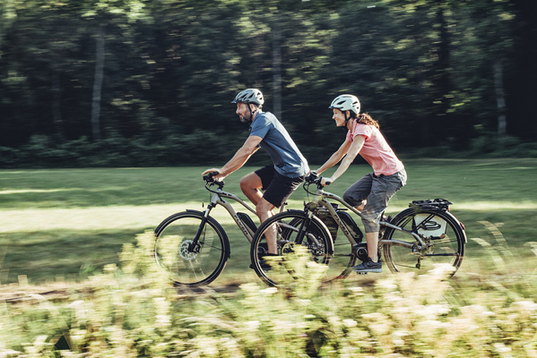 (Bildquelle: www.flyer-bikes.com | pd-f) (Bildquelle: www.flyer-bikes.com | pd-f)