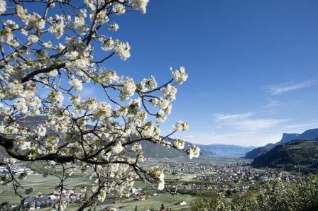 Frühling in Lana