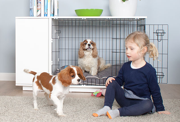 Die erste Hundebox auf die Sie stolz sein können Die erste Hundebox auf die Sie stolz sein können