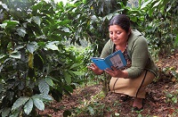 Leticia Monzon mit Tablet auf ihrer Rainforest-Alliance-zertifizierten Kaffeefarm in Guatemala. Leticia Monzon mit Tablet auf ihrer Rainforest-Alliance-zertifizierten Kaffeefarm in Guatemala.