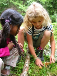 Familienprogramm Waldtag Familienprogramm Waldtag