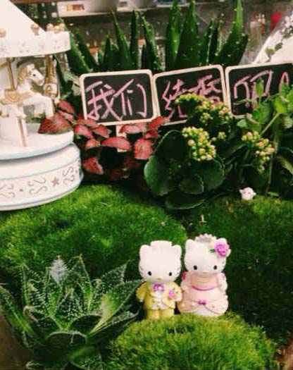 Durch Figuren wie Hello Kitty und andere Accessoires erhält der Miniatur-Moosgarten seine persönlich Durch Figuren wie Hello Kitty und andere Accessoires erhält der Miniatur-Moosgarten seine persönlich