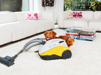 (FOTO: THOMAS) Der THOMAS perfect air animal pure geht Tierhaaren und Schmutz an den Kragen. (FOTO: THOMAS) Der THOMAS perfect air animal pure geht Tierhaaren und Schmutz an den Kragen.