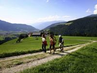 Nordic Walking Nordic Walking
