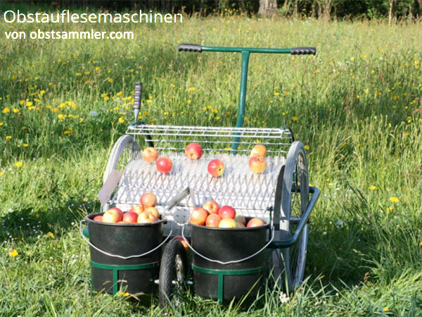 Der Apfelsammler von Huemer - robust, einfach, preiswert