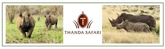 Neu: Thanda Safari Rhino Tracking Neu: Thanda Safari Rhino Tracking