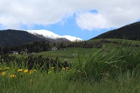 Landschaft im Sommer Landschaft im Sommer