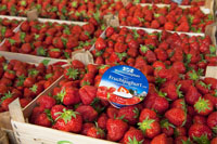 Weihenstephan Qualität für jeden Tag: Der „Feine Fruchtjoghurt mit ausgewählten Früchten“ mit 3,5% F