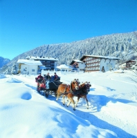 Pferdekutschenfahrt mit der Familie