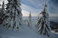 Winterwunderland