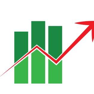 Das Icon der Seo Agentur Berlin